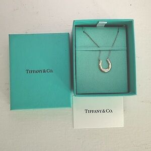 Tiffany & Co 1837 Sterling Silver Horseshoe Necklace